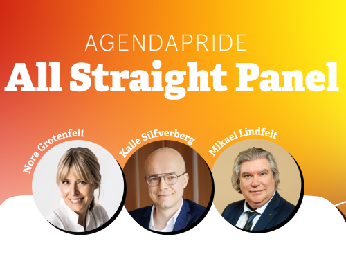 AgendaPride: All straight panel