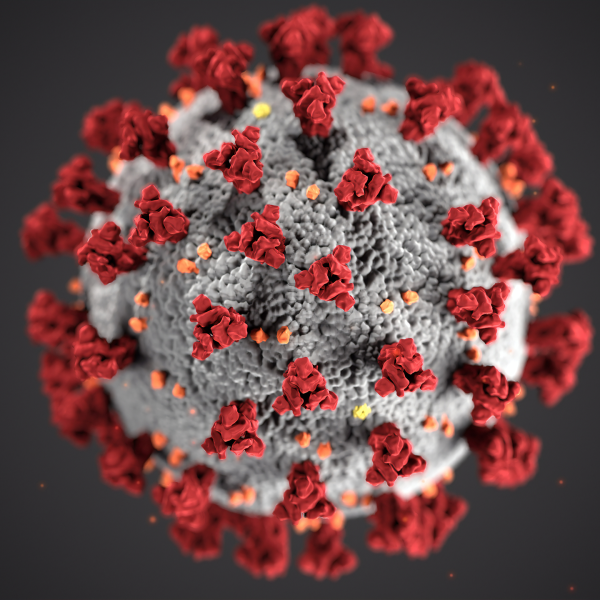 Illustration på coronaviruset